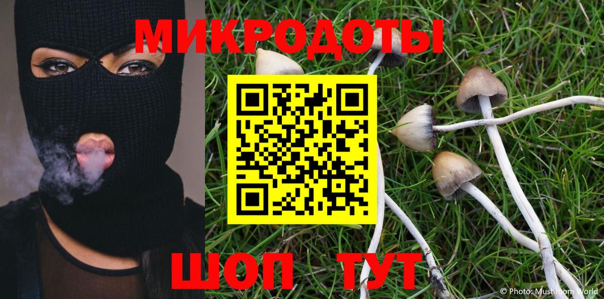 Галлюциногенные грибы MAGIC MUSHROOMS Ростов Великий