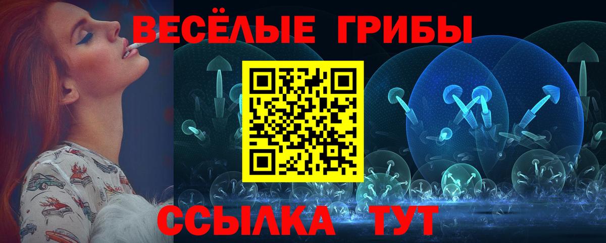 Ростов Великий  Галлюциногенные грибы Psilocybe  Вход с VPN 